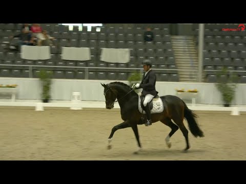 Si Bon und Hermann Gerdes im Sporttest von Verden 2022