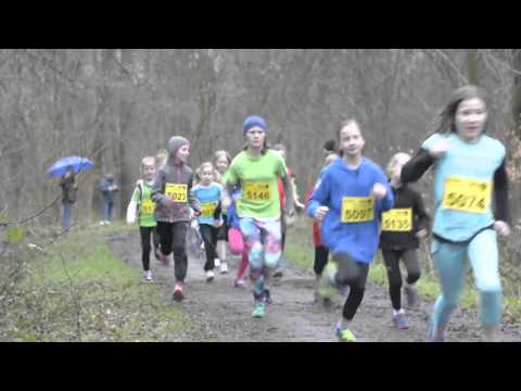 Kreismeisterschaften Crosslauf Ammerland-Friesland 2016