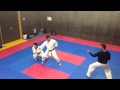Heian Godan Bunkai 1 1