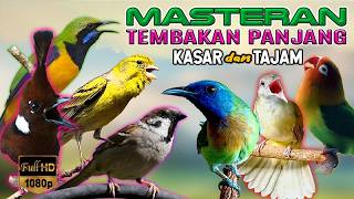 Download lagu #08 MASTERAN MURAI BATU ROLL SPEED RAPAT ISIAN KASAR BURCIL, FULL TEMBAKAN TAJAM mp3