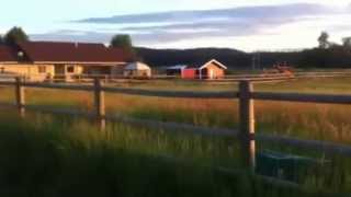preview picture of video 'Post Falls Idaho Farm at Sunset'