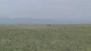 preview picture of video 'GOBI Forage Livestock Early Warning System'