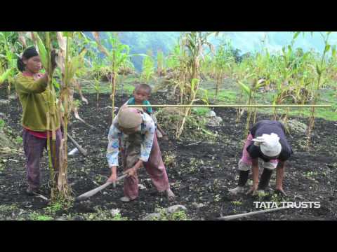 NEIDA - A Tata Trusts' Initiative