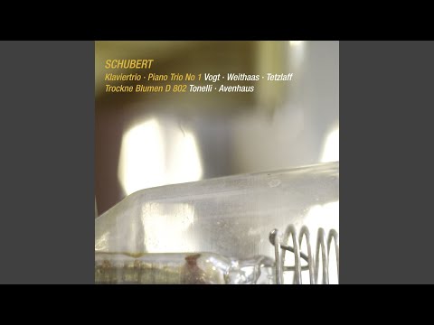 Schubert: Piano Trio No. 1 in B-Flat Major, D. 898: I. Allegro moderato (Live)