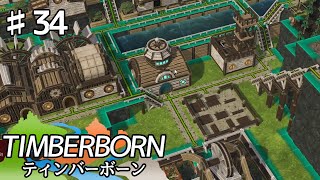 【TIMBERBORN】#34 実況「ゴーレムの灯り」【コロニーシミュレーション】