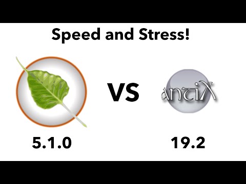 Bodhi Linux 5.1.0 vs antiX 19.2 - Speed and Stress!