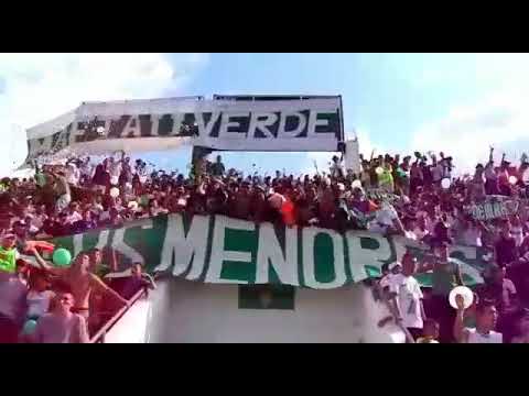 "Mafia verde de corazónðŸ’šðŸ‡³ðŸ‡¬" Barra: Máfia Verde • Club: Liga de Portoviejo