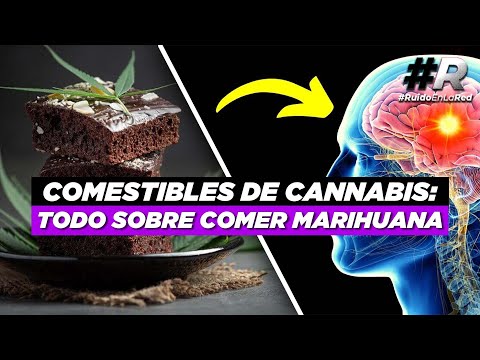 Comer marihuana: todo lo que hay que saber de comestibles con marihuana