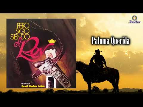 Paloma Querida - David Sánchez Juliao | Relato | Poema Remasterizado | Cover Audio