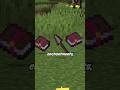 Spear ENCHANTMENTS Minecraft