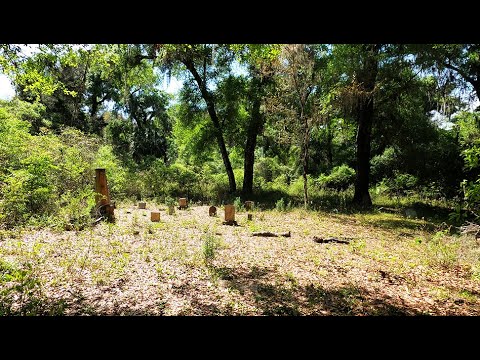 Oriole Cemetery and Ghost Town
