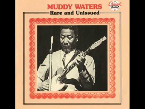 Muddy Waters feat. Sunnyland Slim - Lonesome Day