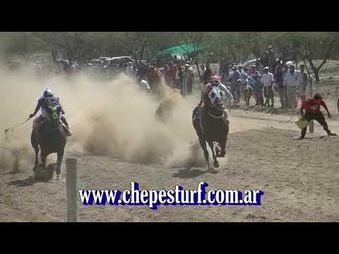 SOÑADORA 19 01 2020 HIP  SANTA CRUZ VIDEO DE CHEPES TURF