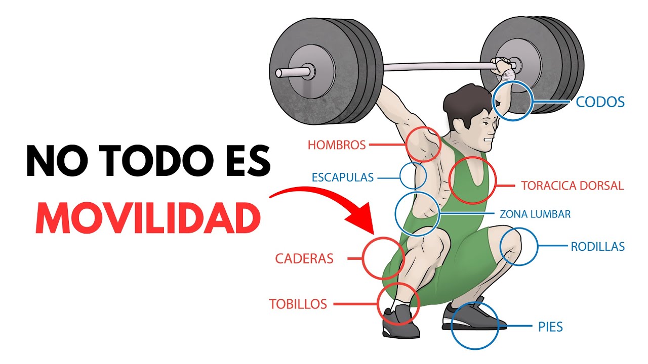 Continuo de movilidad estabilidad. EVALUÁ rápido. Joint by Joint