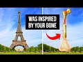 People Criticized Eiffel Tower 100 Years Ago, Here Why