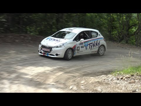 26° Rally Internazionale del Taro 2019 Zigliani - Zigliani by Ferrario