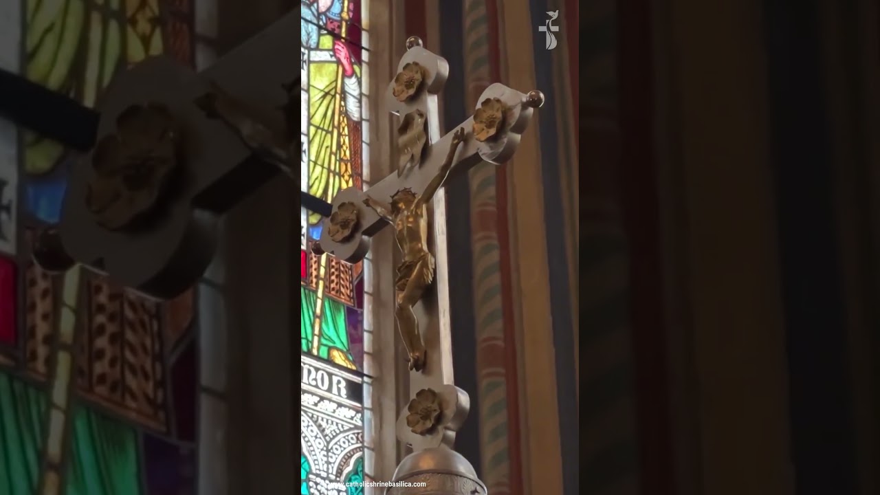 YouTube Short thumbnail