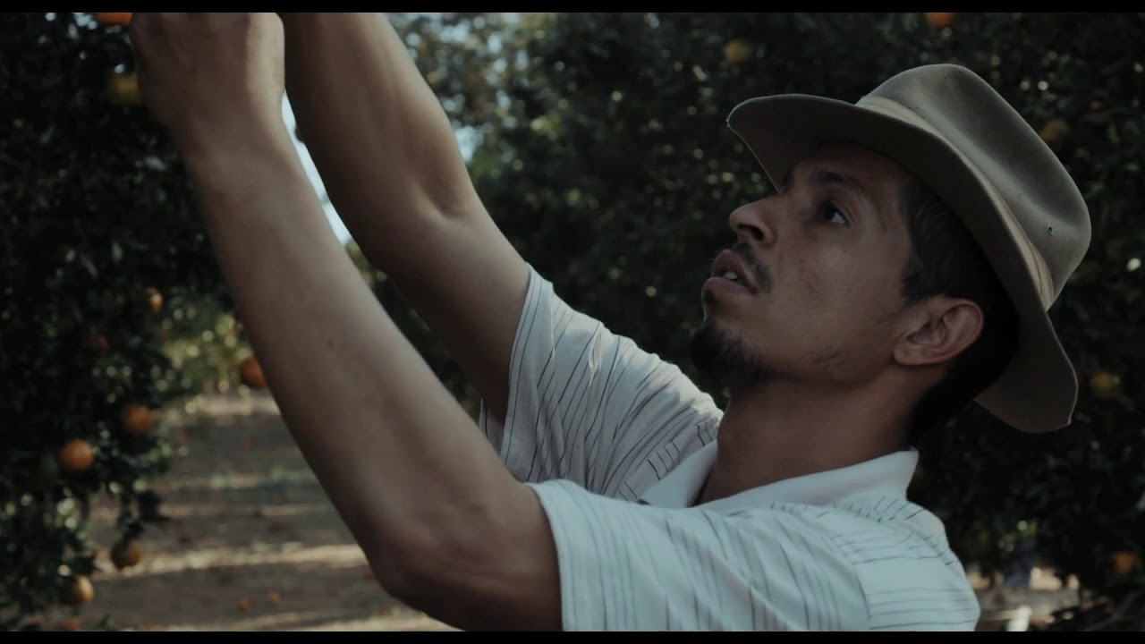 trailer Oficial