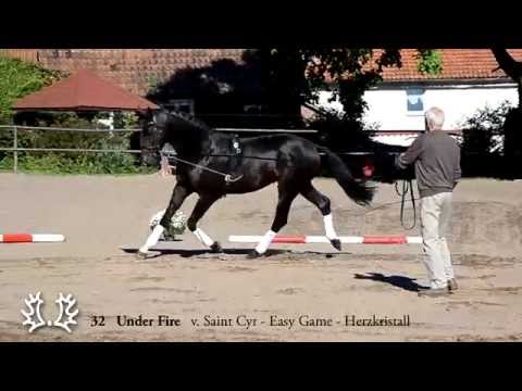 32 Under Fire v. Saint Cyr - Easy Game - Herzkristall