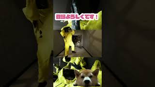 ガソリンタンクもう1個なんだよねｗ【Backrooms: Escape Together】#backrooms #ホラーゲーム #shorts #gaming