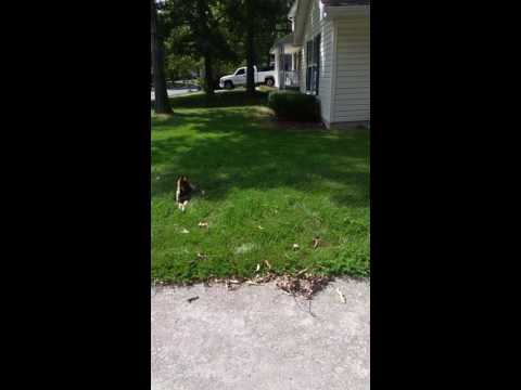 Devka and Isen 9.5.16