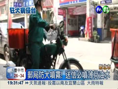 就怕被"狂犬"咬! 郵差備棍棒自保