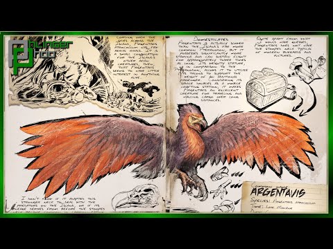 ARGENTAVIS - Everything in 60 seconds or less