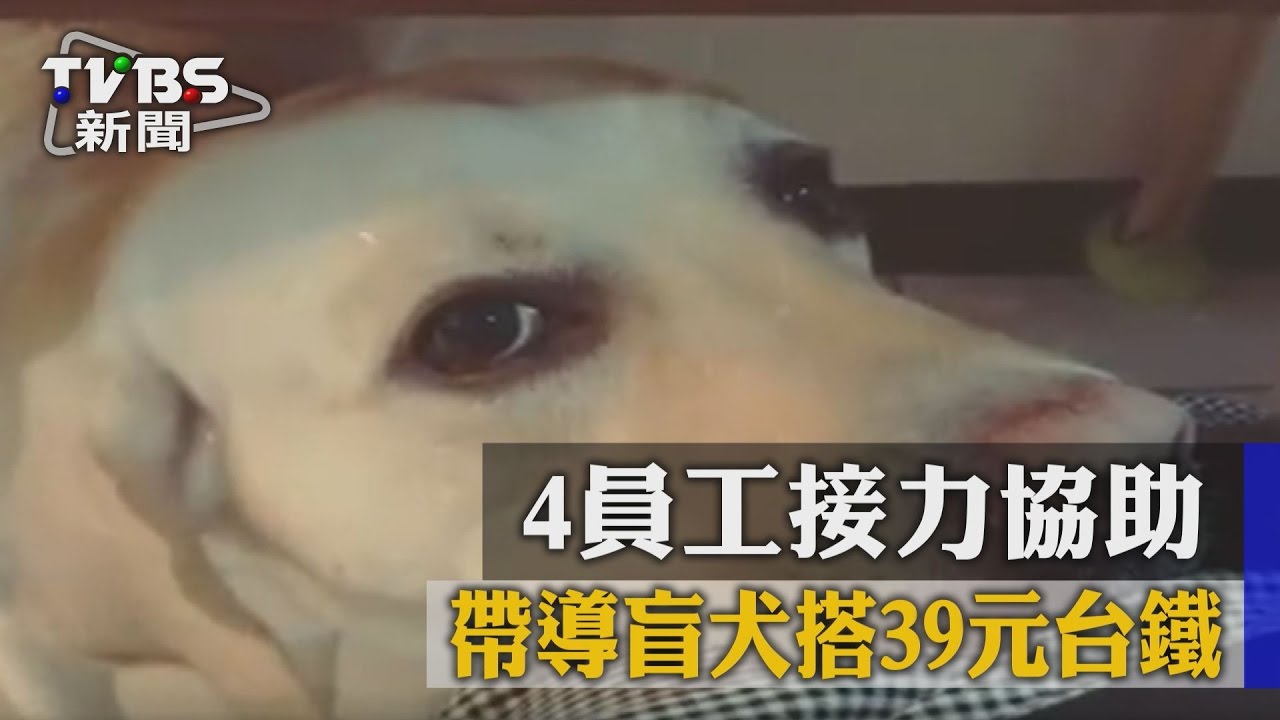 溫馨!帶導盲犬搭39元台鐵 4員工接力協助