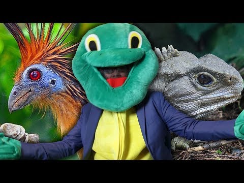奇妙な生き物 - (ローレンス・タートルマン博士と) (The Weirdest Living Animals - (With Dr. Lawrence Turtleman))