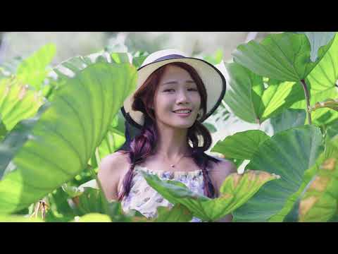 2020（第20屆）甲仙芋筍節：芋頭篇