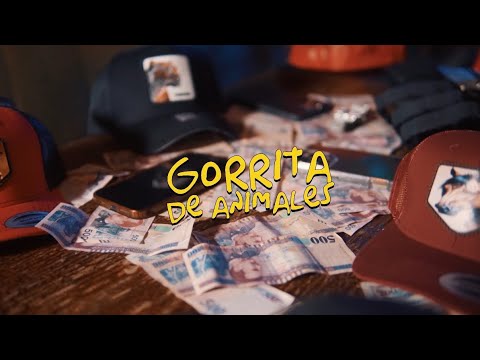 Lildavid six- Gorrita De Animales (Official Video)