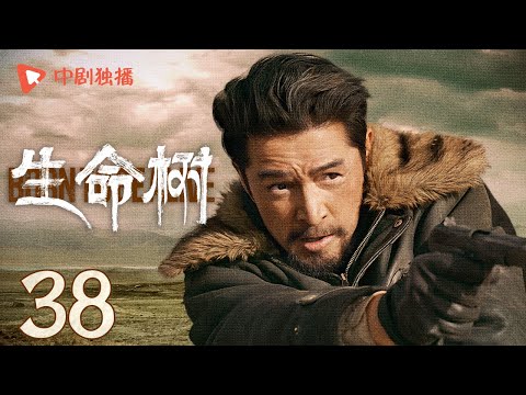生命树 38 | Born to be alive 38（杨紫、胡歌、李光洁、张哲华、杨烁、梅婷 领衔主演）