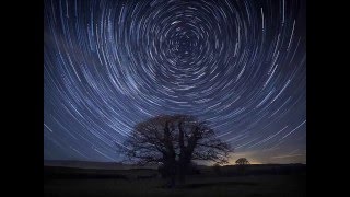 The Brimmon Tree - Sam Gomm featuring the North Star sky
