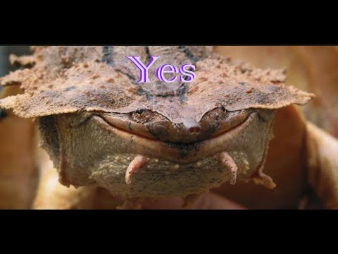 Week in Review with Doooovid - Episode 137 - 16-01-22