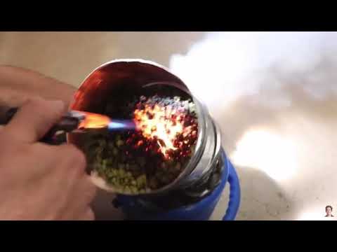 David Dobrik And Steve Will Do It Gets High !!