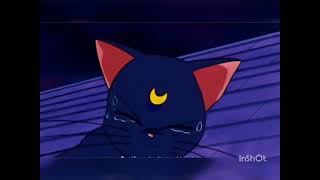 Sailor Moon Season 1 Finale - ONE LAST SONG