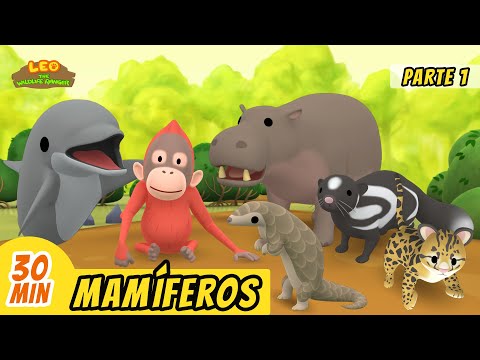 Mamíferos Episodio Compilación [Parte 1/6] (Español) - Leo, El Explorador | Animación - Familia