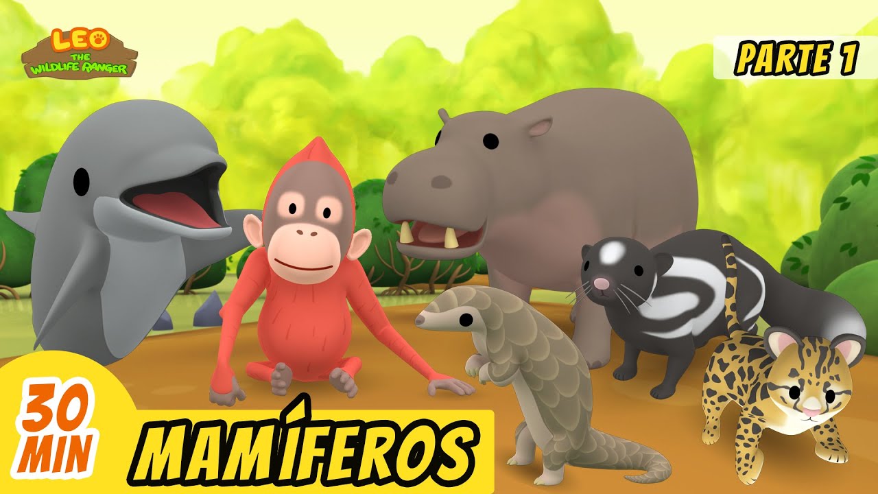 Mamíferos Episodio Compilación [Parte 1/6] (Español) - Leo, El Explorador | Animación - Familia