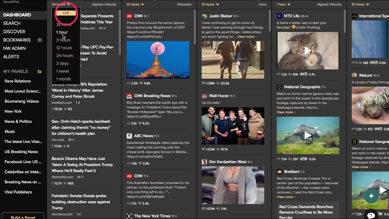 How to Use NewsWhip Spike Dashboards