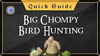 [Quick Guide] The Big chompy Bird Hunting