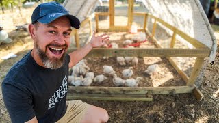 We Stopped Buying Meat and Raised It Instead