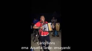 CARLOS BINNS AQUELLA TARDE ,,,ensayo..