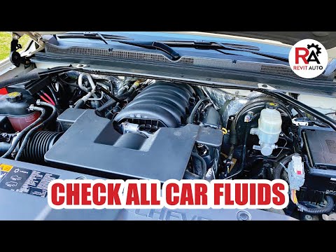 How to Check Under Hood Fluids (Oil, Radiator, Brakes, Steering)