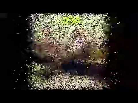 Digby Richards   Stuck Between The Loving & The Leaving