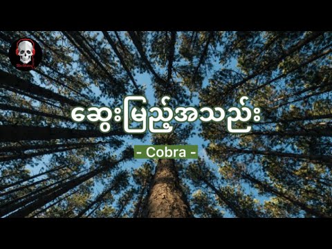 ဆွေးမြည့်အသည်း ( Cobra ) "ငါလေမင်းနဲ့ချစ်ခဲ့ပြီးတဲ့နောက်ပိုင်းမှာ မင်းကိုငါ ယုံကြည်ခဲ့လို့" {Lyrics}