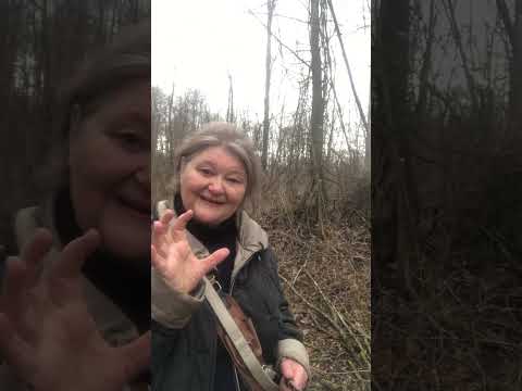 Über Potenzialanalyse und Persönlichkeitsanalyse: 9-Felder-Methode