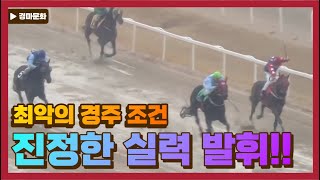 [경마 명승부] 강자는 무대를 가리지 않는다.