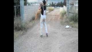 X-TREME DOGS BY X-REDMAN  hra by redman