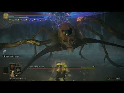 Hardest boss in Consecrated Snowfield(Astel stars of darkness)