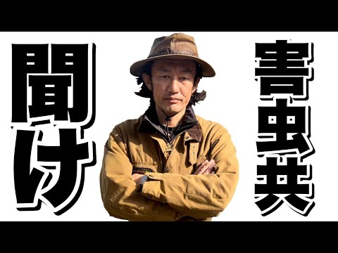 花のマランタ leuconeura